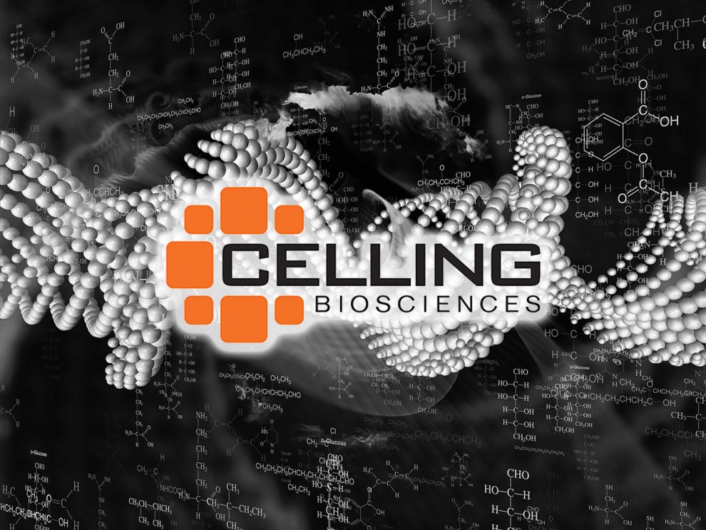 celling-slide1.jpg