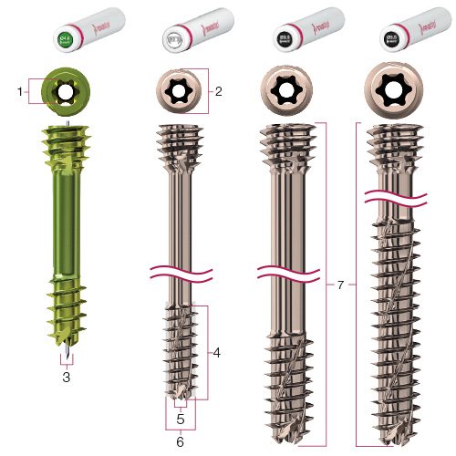 headless-screws-4.7-1.jpg