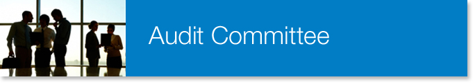 Audit-Committee-1.jpg