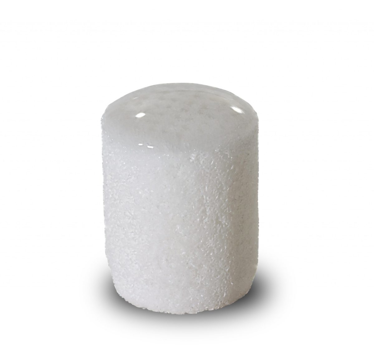 CartiHeals-Agili-C-implant.-Photo-courtesy-1200x1158.jpg