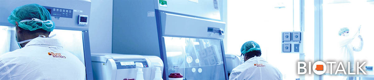 IntellectualEngine_banner_v001-01-1200x259.jpg