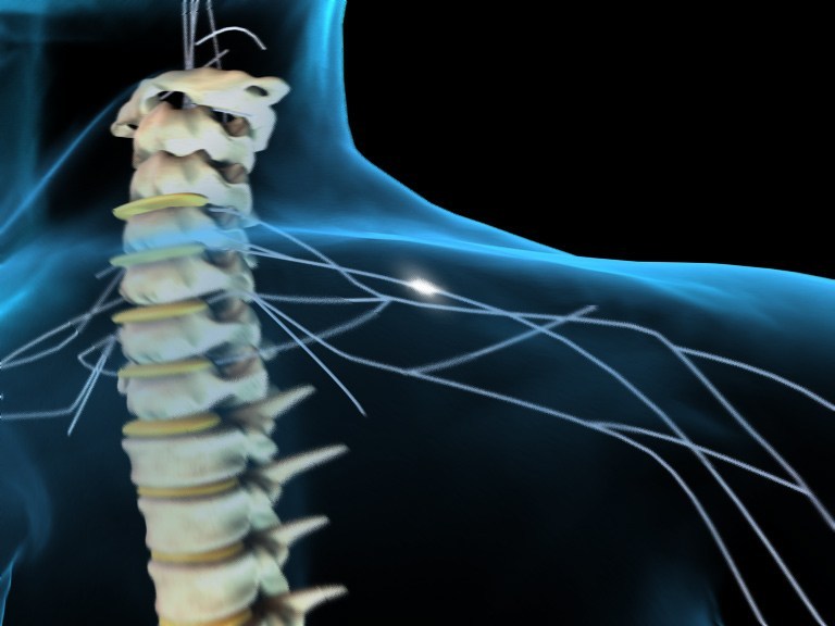 stem-cell-spinal_cord-1.jpg
