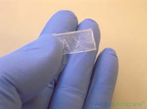 Membrane.jpg