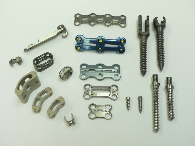 spine-various-1.jpg