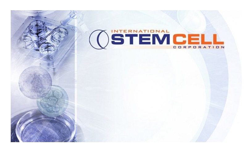 STEM-938x535-1-2.jpg