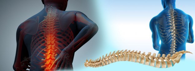 OrthoSpineBanner-copy-624x228-1.jpg